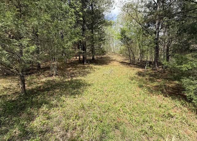 Property at 0 Tracy Rd, Hohenwald, TN 38462