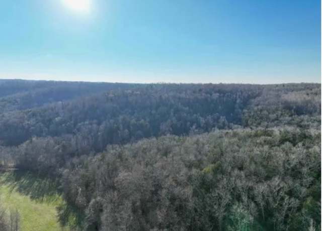 Property at 0 Davis Hollow Rd, Waynesboro, TN 38485