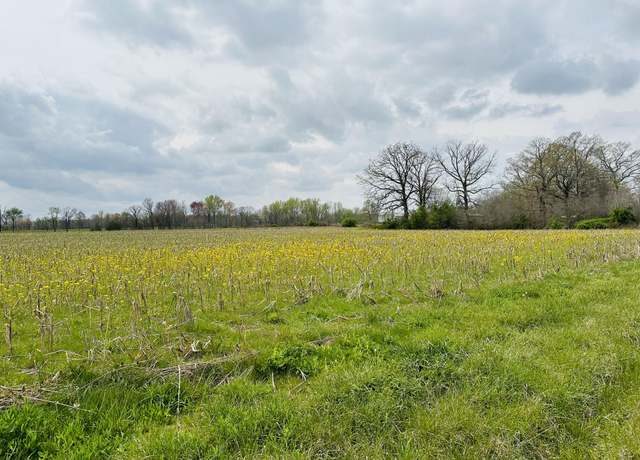Property at 270 Dugout Rd, Summertown, TN 38483