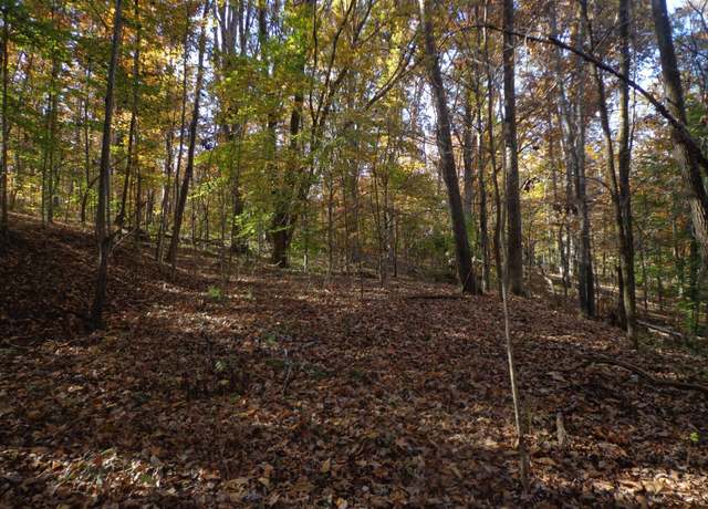 Property at 0 Westwood Dr, Waverly, TN 37185