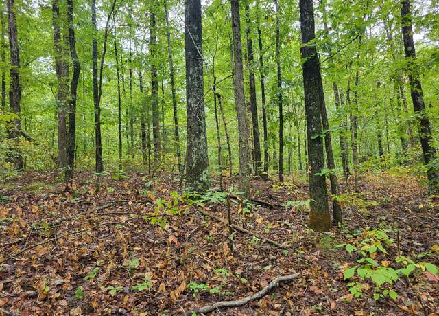 Property at 8103 Chief Red Cloud Dr, Crossville, TN 38572