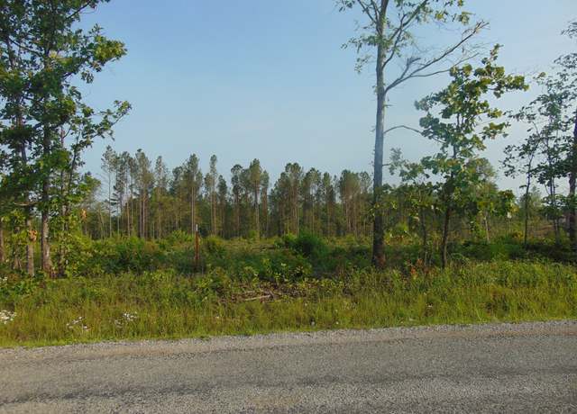 Property at 184 Barnesville Rd, Summertown, TN 38483