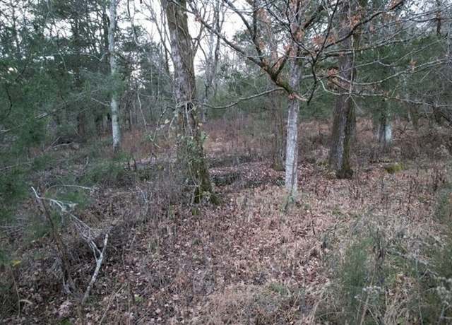Property at 0 Interstate 65 Access Rd, Pulaski, TN 38478