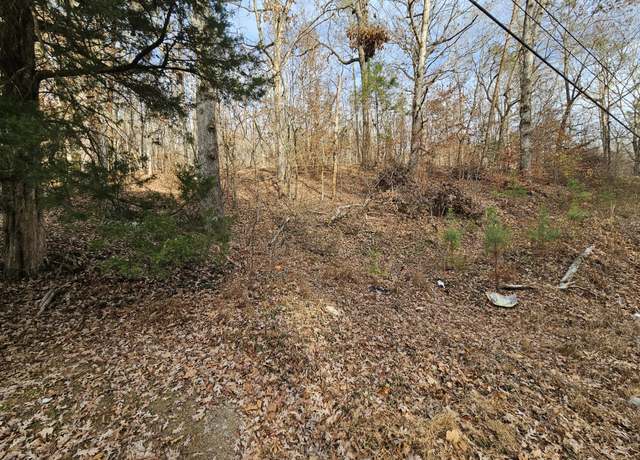 Property at 7 Smyrna Rd, Evensville, TN 37332