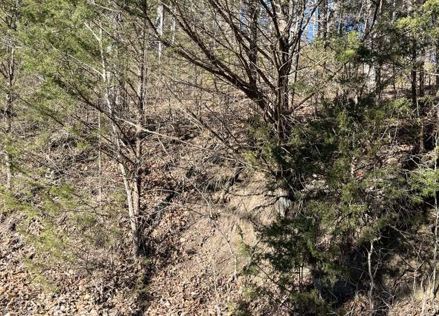 Property at 0 Davis Holw, Dowelltown, TN 37059