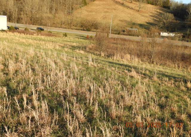 Property at 0 Pulaski Hwy, Frankewing, TN 38459