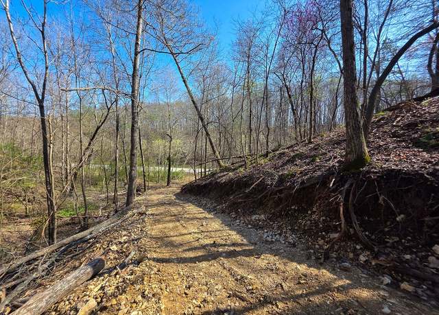 Property at 0 Highway 50 E, Centerville, TN 37033