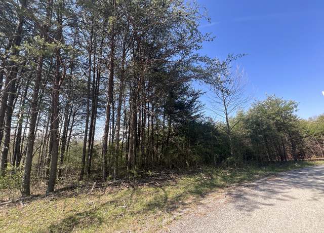 Property at 502 Windstone Dr, Tracy City, TN 37387