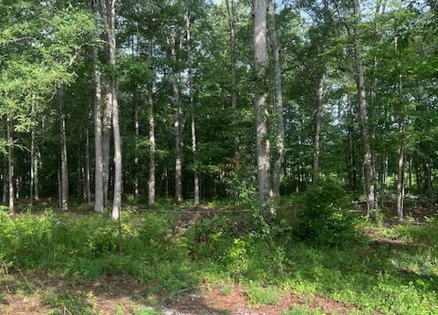 Property at 0 Lakewood Park Rd, Beechgrove, TN 37018