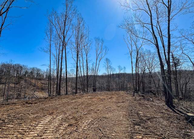 Property at 0 Highway 438, Centerville, TN 37033