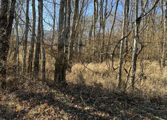 Property at 0 Sumpter St, Pulaski, TN 38478