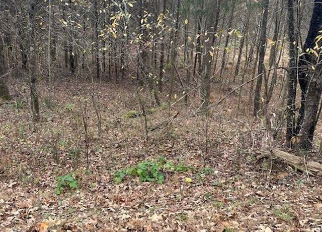 Property at 0 Ryes Chapel Rd, Southside, TN 37171