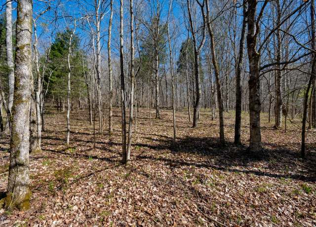 Property at 0 Bedford Creek Rd, Franklin, TN 37064