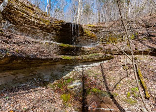 Property at 1627 Hurricane Crk, Linden, TN 37096