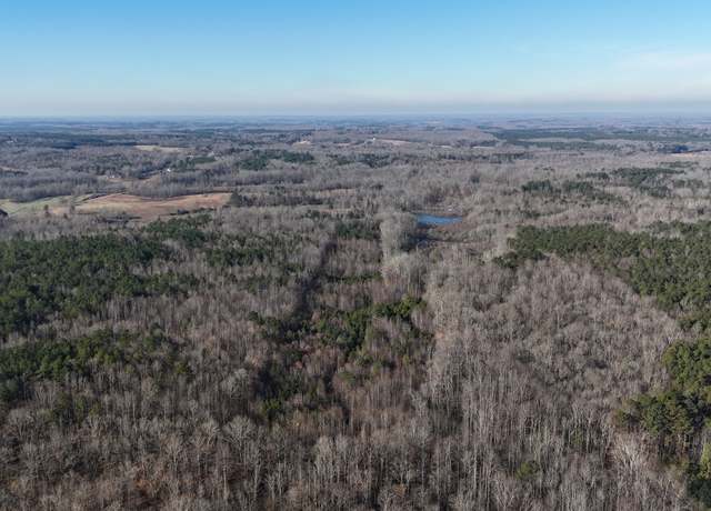 Property at 0 Vires Rd, Finger, TN 38334