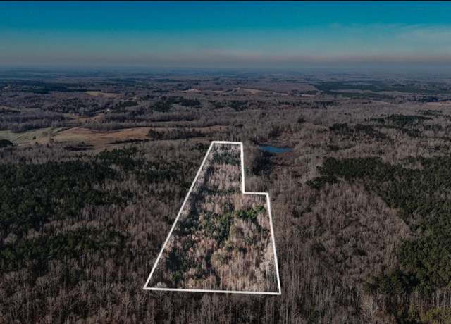 Property at 0 Vires Rd, Finger, TN 38334
