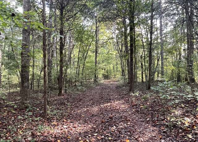 Property at 0 Waters Rd, Centerville, TN 37033