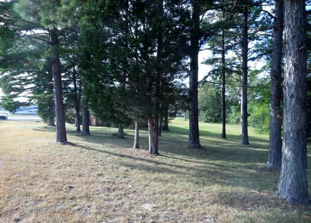 Property at 0 Joe Ave, Hohenwald, TN 38462