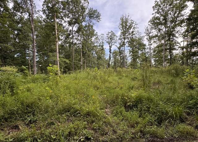 Property at 0 Old Lockhart Rd, Tennessee Ridge, TN 37178