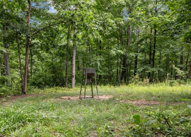 Property at 0 Bear Creek Rd, Waverly, TN 37185