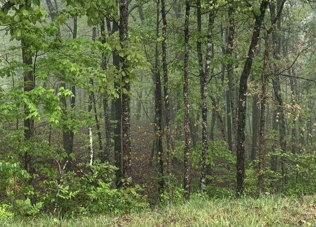 Property at 225 Prospectors Way, Jasper, TN 37347