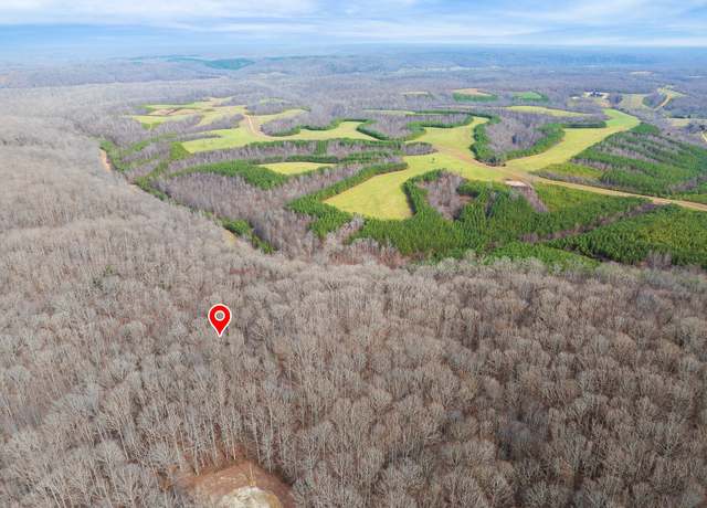 Property at 0 Wild Daisy Ct, Hurricane Mills, TN 37078