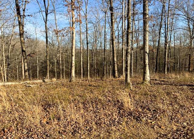 Property at 0 Havenwood Rd, Mc Ewen, TN 37101