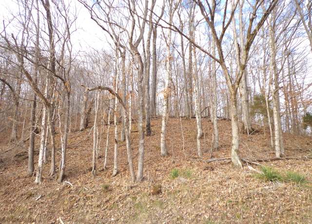 Property at 0 Dry Hollow Rd, Mc Ewen, TN 37101