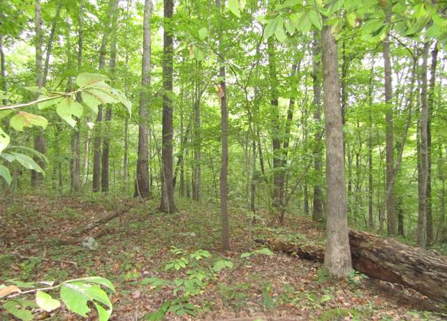 Property at 0 Cheyenne Dr, Jamestown, TN 38556