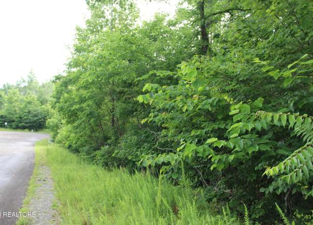 Property at 0 Graphite Ct, New Tazewell, TN 37825
