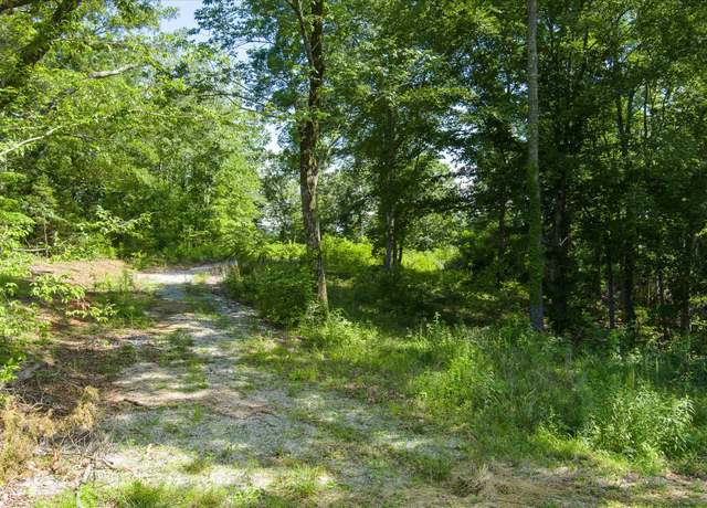 Property at 689 Pates Ford Rd, Walling, TN 38587