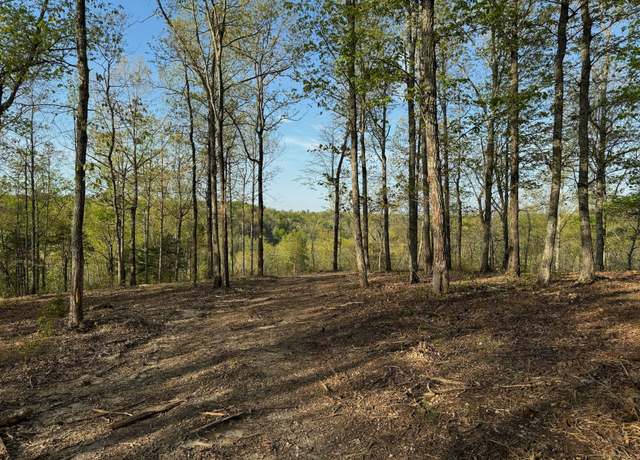 Property at 0 Roan Creek Rd, Lobelville, TN 37097