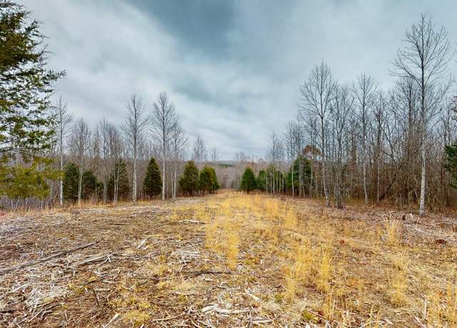 Property at 0 Horseshoe Hollow Rd, Dover, TN 37058