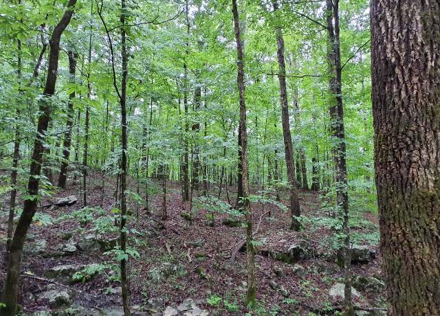 Property at 0 Sherwood Rd, Sherwood, TN 37376