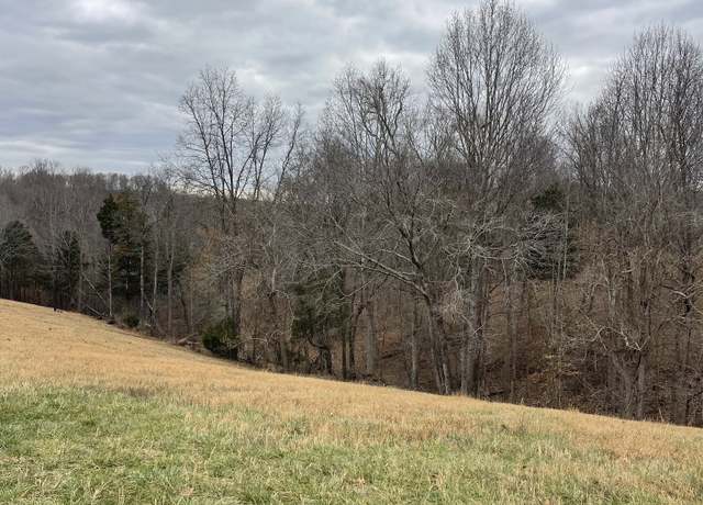 Property at 920 Purtle Rd, Lafayette, TN 37083