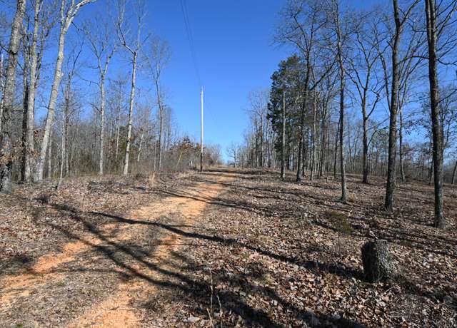 Property at 117 Wyatt Ln, Linden, TN 37096