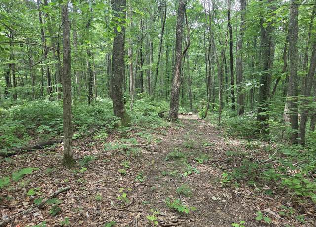 Property at 0 Blumont Dr, Altamont, TN 37301