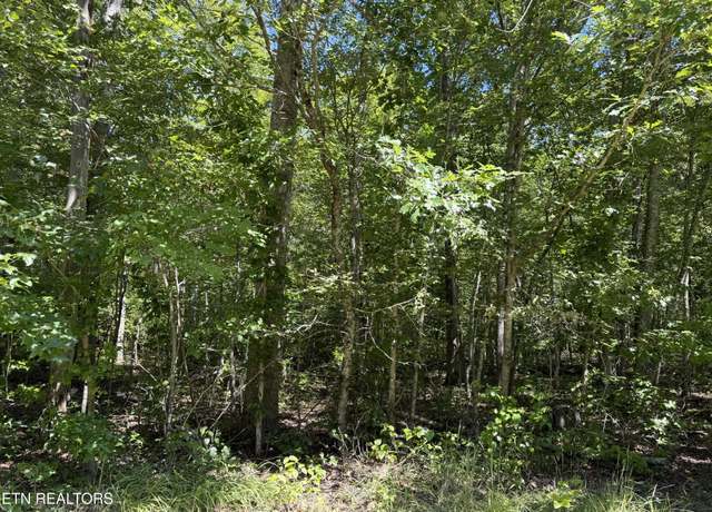 Property at 0 Goodson Trl, Monterey, TN 38574