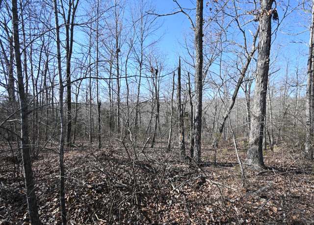 Property at 130 Wyatt Ln, Linden, TN 37096