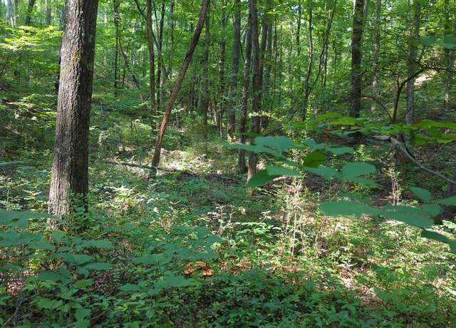 Property at 1346 Elliot Rd, Nunnelly, TN 37137