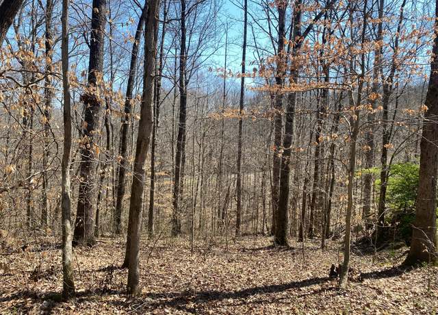 Property at 0 Anderson Rd, Pegram, TN 37143