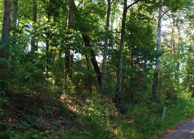 Property at 0 Treeline Dr, Dunlap, TN 37327
