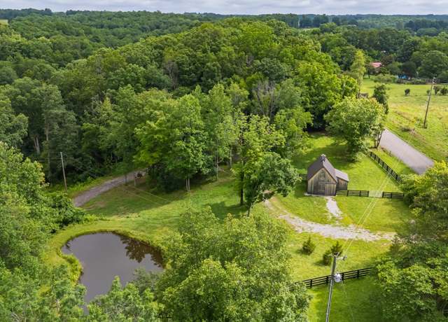 Property at 8000 Shoals Branch Rd, Primm Springs, TN 38476
