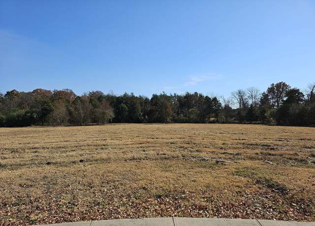 Property at 0 Roxburghe Ct, Murfreesboro, TN 37128