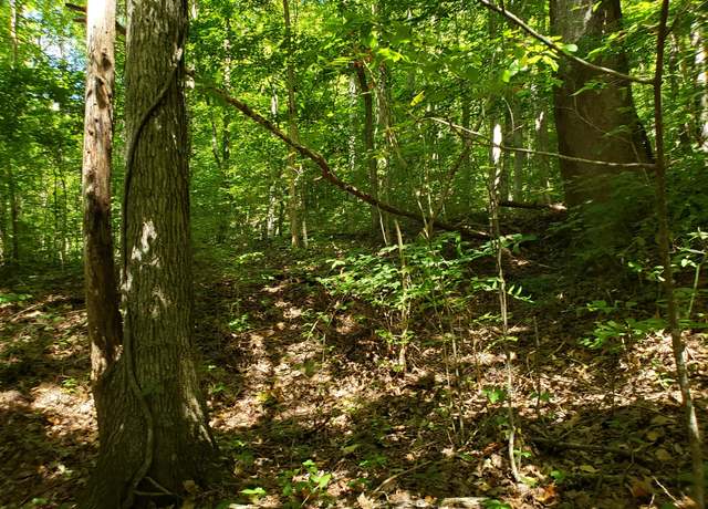 Property at 722 ac Livingston Hwy, Celina, TN 38551