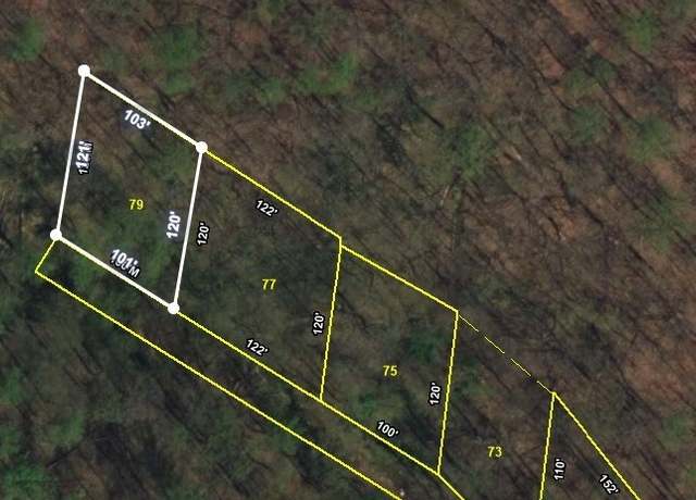 Property at 0 Scott Canyon Rd, Smithville, TN 37166