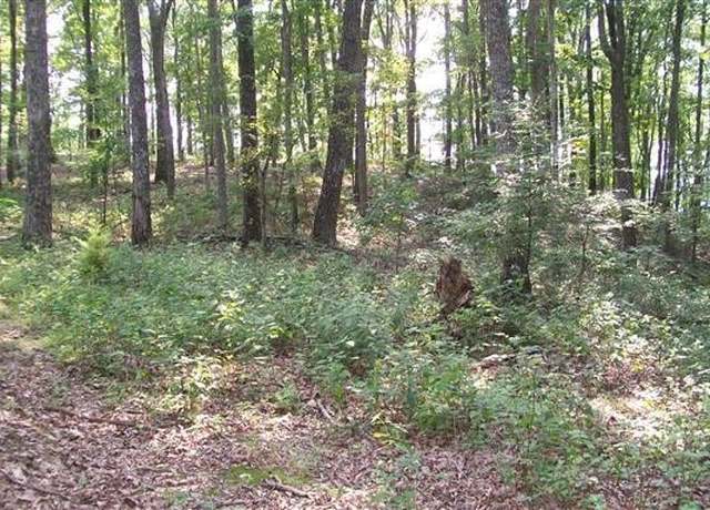Property at 0 Bluff Line Dr, Mcminnville, TN 37110