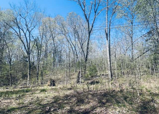 Property at 0 Iron Horse Trl, Parsons, TN 38363