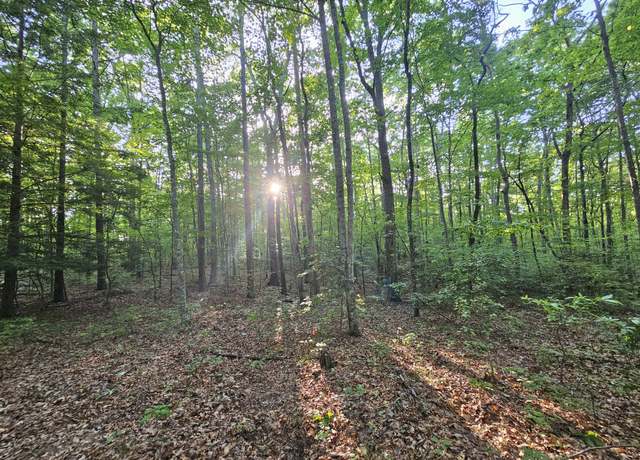 Property at 3 Woodfern Ln, Coalmont, TN 37313