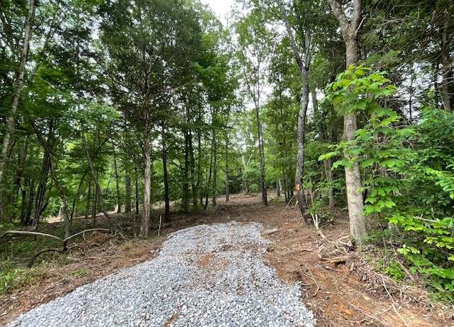 Property at 2 Chapel Hill Rd, Southside, TN 37171